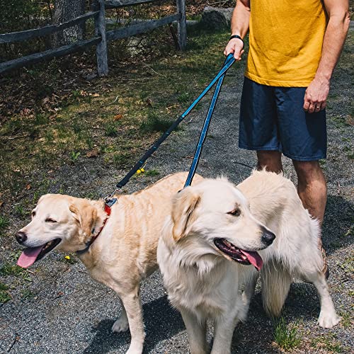 Kurgo Quantum 6-in-1 Dog Leash, Multi-Use Dog Lead for Walking & Running, Adjustable, Hands-Free Option, Coastal Blue - color: Coastal Blue