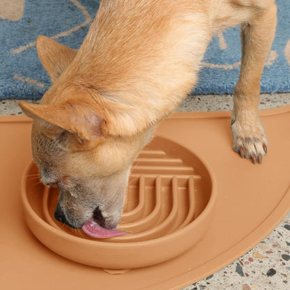 Should We Go? Slow Feeder for Dogs & Cats, The Slowdown Bowl Silicone Slow Eating Mealtime Solution with Modern Lick Mat Design, Reduces Gulping, Fits 1 Cup, 6” Across x 1.25” Tall, Small-Terracotta - color: Terracotta, size: Small (6” Across x 1.25” Tall