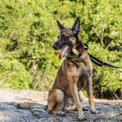 OneTigris Tough Dog Collars, Tactical Dog Collar with Handle, Milltary Adjustable Dog Collar with Heavy Duty Metal Buckle for Training (Medium (Pack of 1), Black) - color: Black, size: Medium