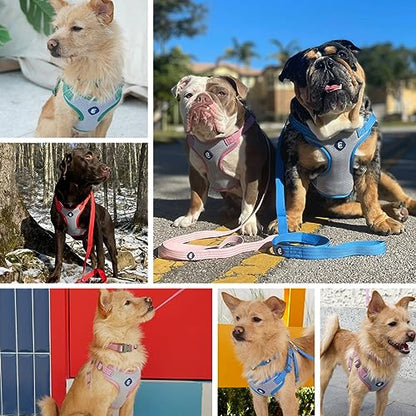 Blueberry Pet Essentials Back to Basics Reflective Dog Harness Vest, Candy Pink, Large, Adjustable Harnesses for Dogs - color: Candy Pink, size: Large (Pack of 1)