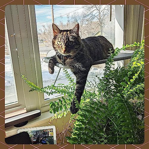 Cat Window Perch with 360° Sunbath, Hammock Bed for Indoor Cats, Grey Comfortable Seat for Sunbathing, Easy to Install on Any Window (Large)
