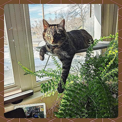 Cat Window Perch with 360° Sunbath, Hammock Bed for Indoor Cats, Grey Comfortable Seat for Sunbathing, Easy to Install on Any Window (Large)
