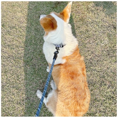 3FT Heavy Duty Rope Dog Leash, 6/8/10/12/15/20/30 FT Long Dog Lead Nylon Pet Leash, Soft Padded Handle Thick Lead Training Leashes for Large Medium Dogs (3ft * 1/2", Blue Black) - color: blue black, size: 1/2" * 3'