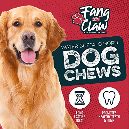 Water Buffalo Horn Dog Chew 4 Pack - Small 4" - All Natural Free Range Grass Fed Single Source Protein - No Chemicals, Additives, Hormones - Long Lasting, Good for Aggressive Chewers – by Fang & Claw - style: 4 Horns - Small 4"