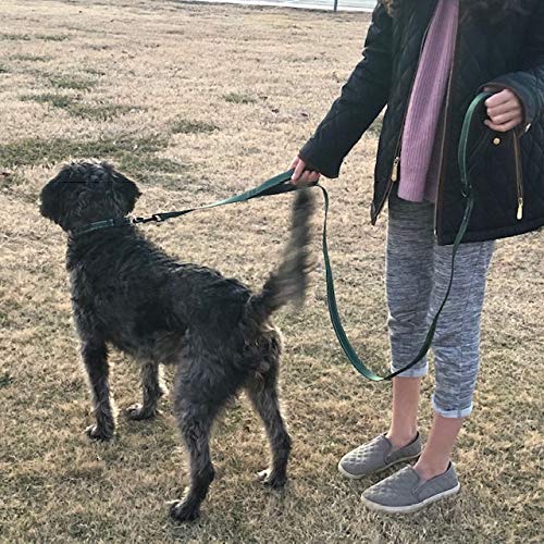 Wagtime Club Double Handle Dog Leash, 6ft Long Heavy Duty Dog Leash with Paded Traffic Handles for Extral Control and Training, Dual Handles Leads, Large Medium Small Dogs (Hunter Green) - color: Hunter Green
