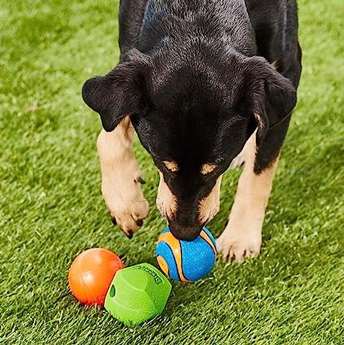 Chuckit! Fetch Pack Dog Ball Dog Toys, Medium (2.5 Inch) Pack of 3, for Medium Breeds, Includes Erratic, Strato and Ultra Squeaker Balls - size: Medium (2.5"), style: Fetch Pack 3