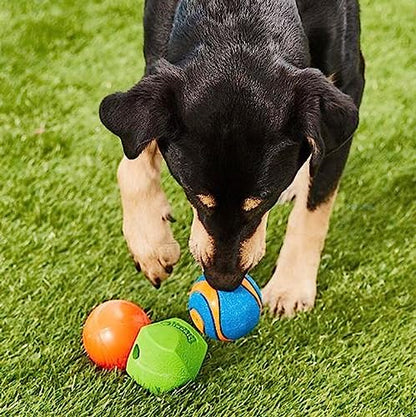 Chuckit! Fetch Pack Dog Ball Dog Toys, Medium (2.5 Inch) Pack of 3, for Medium Breeds, Includes Erratic, Strato and Ultra Squeaker Balls - size: Medium (2.5"), style: Fetch Pack 3