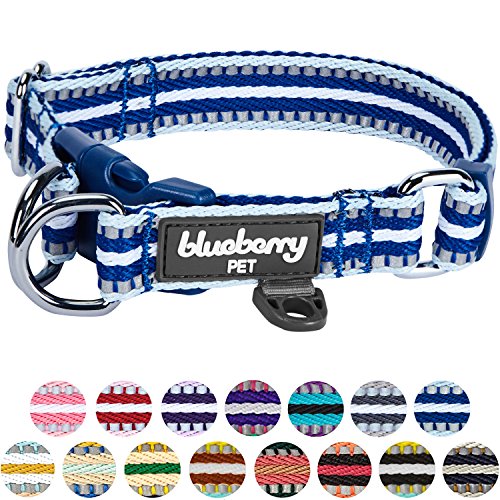 Blueberry Pet Safety Dog Collar with Dual D-Rings | 3M Reflective Multi-Colored Adjustable Collar in Blue and White | Soft Nylon Dog Collar for Active Small Dogs