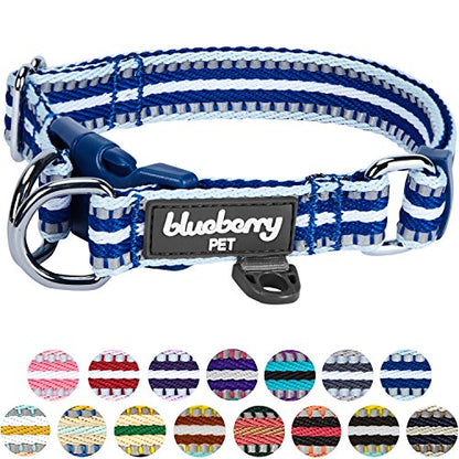 Blueberry Pet Safety Dog Collar with Dual D-Rings | 3M Reflective Multi-Colored Adjustable Collar in Blue and White | Soft Nylon Dog Collar for Active Small Dogs