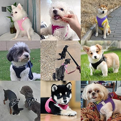 Dog Harness with Leash Set, No-Pull Step-in Reflective Pet Harness with 1 Leash Clips, Adjustable Soft Padded Easy Walk Dog Vest for Small Medium Large Dogs, Cats(Dark Blue, XXXSmall) - color: Blue, size: XXXS(Chest:10"-11.5"*Fit Cat)