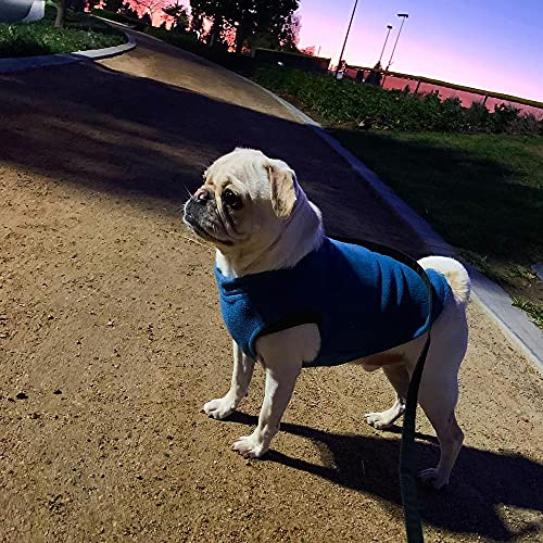 Gooby Boys X-Small Length (7 Inch) Stretch Fleece, Steel Blue, X-Small Length 7 US - color: Steel Blue, size: X-Small Length (7")