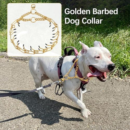 Stainless Steel Dog Pinch Collar - Gold Prong Training Collar, No Pull Martingale Collar for Medium & Large Dogs (S, Gold) - size: S