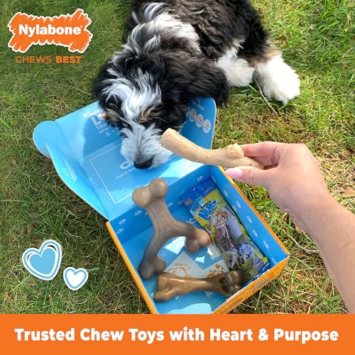 Nylabone Puppy Gift Box, Includes 3 Strong Puppy Chew Toys and 1 Natural Treat Bone for Puppies, Gifts for Puppies, Small Dogs - Up to 25 lbs., 4 Pack - size: Puppy (4 Count)