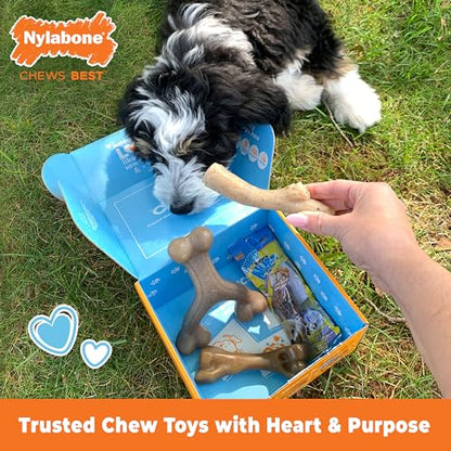 Nylabone Puppy Gift Box, Includes 3 Strong Puppy Chew Toys and 1 Natural Treat Bone for Puppies, Gifts for Puppies, Small Dogs - Up to 25 lbs., 4 Pack - size: Puppy (4 Count)