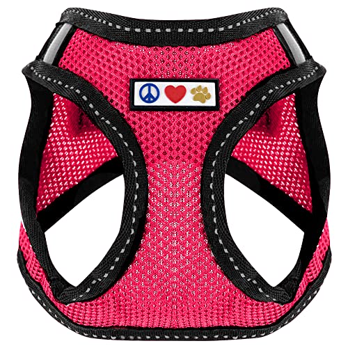 Pawtitas Dog Vest Harness Made with Breathable Air Mesh | All Weather Vest Harness for Extra Small Puppies and Large Cats with Quick-Release Buckle - Extra Small Pink Mesh Dog Harness - color: Pink, size: X-Small (Pack of 1)