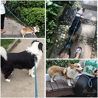 Rope Dog Leash 3/6/8/10/12/15/20/30 FT, Heavy Duty Nylon Pet Leash, Soft Padded Handle Thick Lead Leashes for Large Medium Dogs (1/2" * 6', Blue Black) - color: blue black, size: 1/2" * 6'