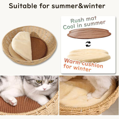 Wood Cat Tree for Large Cat, 57-Inch Tall Cat Tower with Scratching Post for Indoor Cats, Multi-Level Cat Condo with Hand-Woven Cat Bed and Hammock Acrylic Bowl Easy to Clean (DC888) - color: Nature DC888