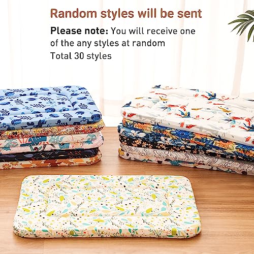 X-Small Crate Bed Pad - Super Soft Pancake Style Mat for Kennels, Ideal for Pet Beds, Machine Wash and Dryer Friendly, 22-Inch, Random Color