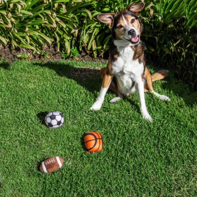 Glow Pups Sports Balls, Dog Toy with Squeakers, 3 Pack: Football, Soccer, Basketball - style: 3 Pack: Football, Soccer and Basketball