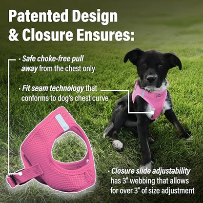 Doggie Design Dog Harness - No Choke Dog Harness, Dog Vest, Mesh Polyester, Pet Harness, Simple Step in and Go Design, Harness for Dog - Candy Pink, XXS - color: Candy Pink, size: XX-Small