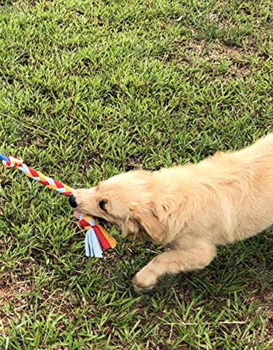 Dewonch Dog Fleece Rope Teaser Toy as Replacement to Chase and Tug (A-2PCS) - style: A-2PCS
