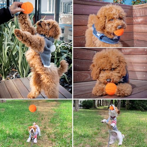 LaRoo Squeaky Dog Ball Toy, Durable Natural Rubber Squeaker Ball Floating Throwing Training, Teeth Cleaning Chew Toy for Pet Small Medium Large Dogs (6.5CM Orange) - color: Orange-6cm
