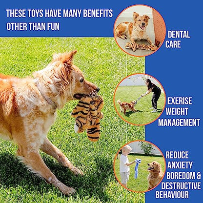 Squeaky No Stuffing Dog Toy Set – New & Improved Edition Plush Crinkle Dog Toys for Small, Medium & Large Breeds – Soft Tough Stuffless Puppy Chew Squeak Animal Supports Pet Health & Well Being 5 Pack