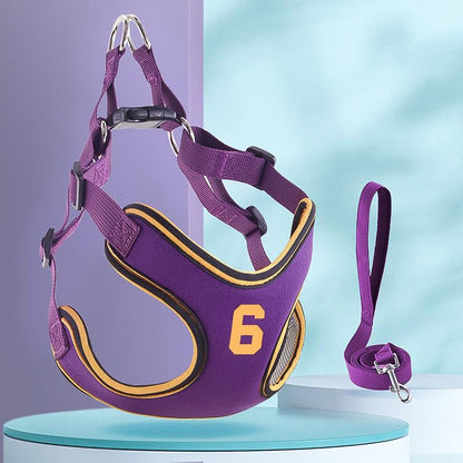 X-Shape Escape-Proof Dog Harness Vest, Reflective Padded Chest Strap with Matching Leash for Small & Medium Dogs Nylon & Polyester Design - color: Purple, size: XS