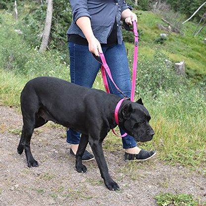 Wagtime Club Double Handle Dog Leash, 6ft Long Heavy Duty Dog Leash with Paded Traffic Handles for Extral Control and Training, Dual Handles Leads, Large Medium Small Dogs (Lively Pink) - color: Lively Pink