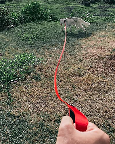 Tuff Pupper Heavy Duty Long Dog Leash | 50 Foot | Buckle Handle | High Visibility Nylon Webbing | Rust Resistant Swivel Clip - size: 50 Foot