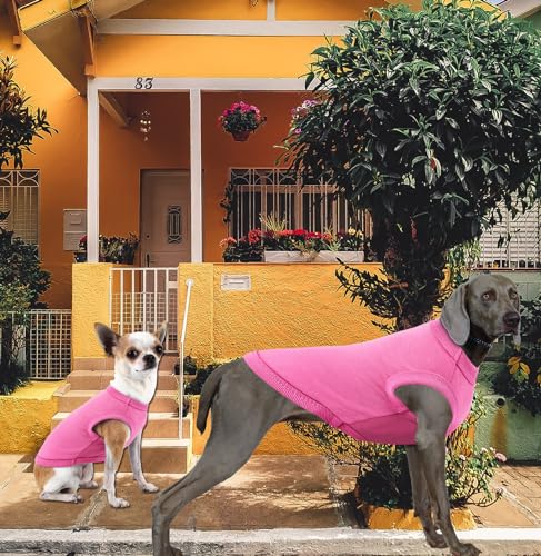 Dog Pink Shirts for Small Dogs,Blank Plain Pink Cotton Shirt,S Pink Rose - color: Pink & Rose, size: Small