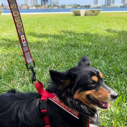 Pawtitas Reflective Padded Dog Harness for Small Dogs – Adjustable Puppy Step-in Vest | Fits Chest 18–22 in | No Pull Personalized Training Harness | S | Red - color: Red, size: Personalized Small (Pack of 1)