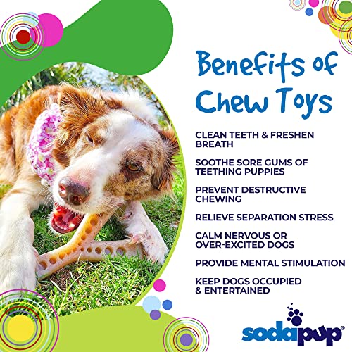 SodaPup Mod Wishbone – Durable Dog Chew Toy and Treat Dispenser Made in USA from Non-Toxic, Pet Safe, Food Safe Nylon Material for Mental Stimulation, Clean Teeth, Fresh Breath, Problem Chewing & More - color: Brown Nylon Mod Wish Bone