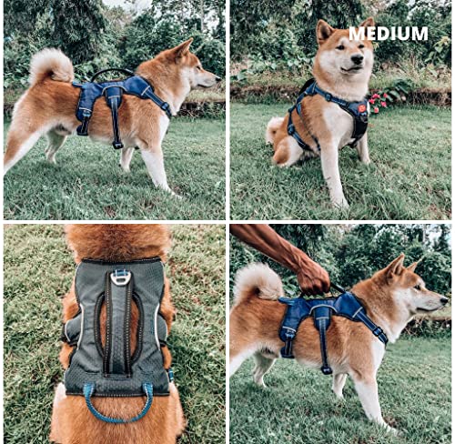 Tuff Pupper Escape Proof No Escape Dog Harness | 5 Point Adjustable Fit Harness for Dogs | Padded Dog Harnesses | Handle Dog Lift Harnesses - color: Midnight Blue, size: Medium