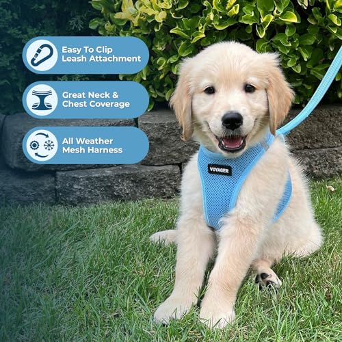 Best Pet Supplies Voyager Step-in Air All Weather Mesh Harness and Reflective Dog 5ft Leash Combo with Neoprene Handle, for Small, Medium and Large Breed Puppies - Set (Baby Blue), XXX-Small - color: Harness Leash Set (Baby Blue), size: XXXS (Chest: 10 -