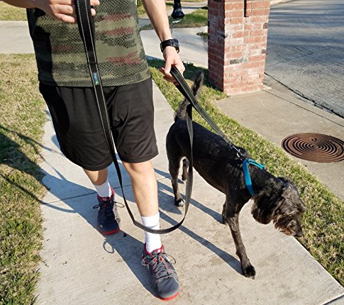 Wagtime Club Double Handle Dog Leash, 6ft Long Heavy Duty Dog Leash with Paded Traffic Handles for Extral Control and Training, Dual Handles Leads, Large Medium Small Dogs (Reflective Black) - color: Reflective Black