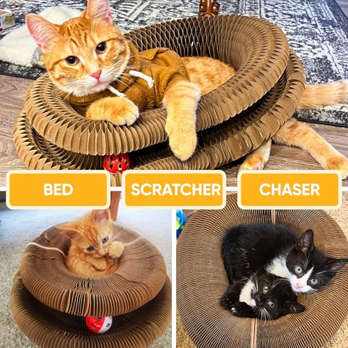 KITTY KURLZ & Karate Kitty Active Indoor Cat Play Bundle – Interactive Ball Track Scratcher + Cat Wrestling Glove with Protective Arm Sleeve