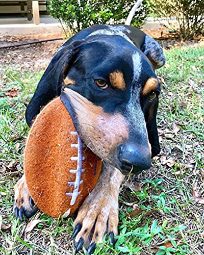 Nylabone Power Play Felt Football Gripz Fetch Toy, Squeaky Ball Chew Toy for Dogs, Large (1 Count) - size: Large