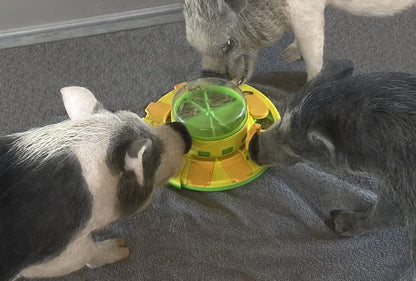 Piggy Poo and Crew Treat Popper Slow Feeder Interactive Food Dispenser Puzzle Game for Dogs Puppies Rabbits Pigs Small Animals - color: Green and Yellow