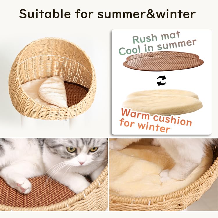 Modern Cat Tree for Large Cat, 60-Inch Tall Cat Tower with Scratching Post for Indoor Cats, Multi-Level Cat Condo with Hand-Woven Cat Bed and Acrylic Bowl (Brown-Particle Board) - color: Brown 81004D