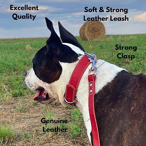 ADITYNA Heavy Duty Leather Dog Leash 6 ft x 1" - Strong, Soft Training Lead for Large & Extra Large Breeds (Red, XL - 6 ft x 1 inch) - color: Red, size: XL - 6 ft x 1 inch