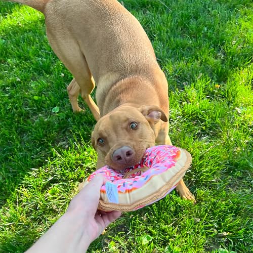 Doggijuana Doggi Duo Refillable Juananip Toy Bundle | Pink Donut & Juananip | Funny Dog Toy Plush with Catnip and Refill | Interactive Chew for Play - style: Pink Donut & Juananip