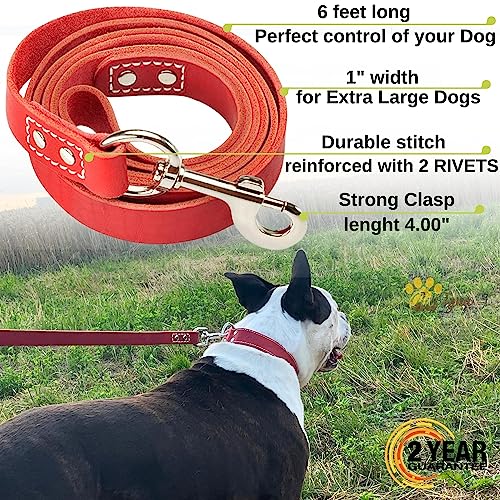 ADITYNA Heavy Duty Leather Dog Leash 6 ft x 1" - Strong, Soft Training Lead for Large & Extra Large Breeds (Red, XL - 6 ft x 1 inch) - color: Red, size: XL - 6 ft x 1 inch