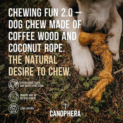 Canophera Dog Chew Coffee Wood and Coconut Rope Toy for Healthy Teeth and Gums Size Small - All Dog Breeds - size: Small