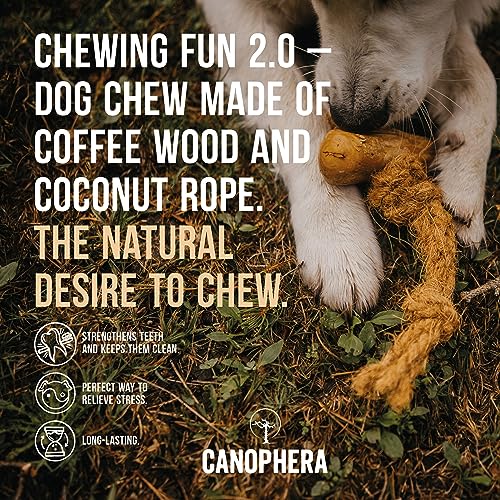 Canophera Dog CHEW Made of Coffee Wood and Coconut Rope (Xtra Large) - size: Xtra Large