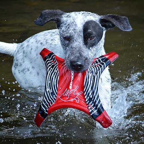EzyDog DogStar Flyer Dog Flying Disc Toy – Foldable Soft Nylon Fetch Toy, Lightweight Long-Distance Throw, Floating for Water & Land – Durable for Small, Medium & Large Dogs