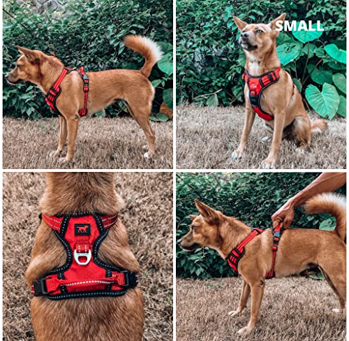 Tuff Pupper No Pull Easy Walk Dog Harness | Heavy Duty Pet Vest | Front & Back Leash Clips | Strong Safety Handle | Reflective Anti Pull Vest | Comfortable Padded Escape Proof Harness (Small, Red) - color: March Red, size: Small (Neck: 10-17" , Chest: 14-