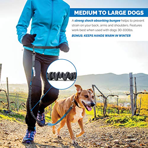 Tuff Mutt Hands-Free Waist Leash for Dog Walking, Running and Hiking, Carabiner Clip, Adjustable Belt with Double Handle, Reflective Bungee Design for Large & Medium Dogs - color: Carabiner/Gray