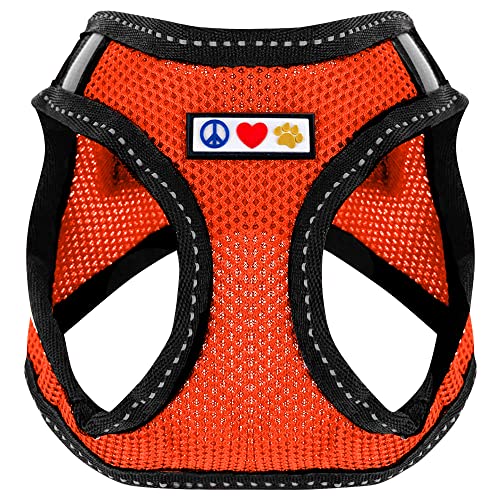 Pawtitas Reflective Mesh Puppy Dog Harness for Extra Extra Small Dogs – Adjustable | No Pull | Fits Neck 8 in Chest 12 in | XXS | Orange - color: Orange, size: 2 Extra Small