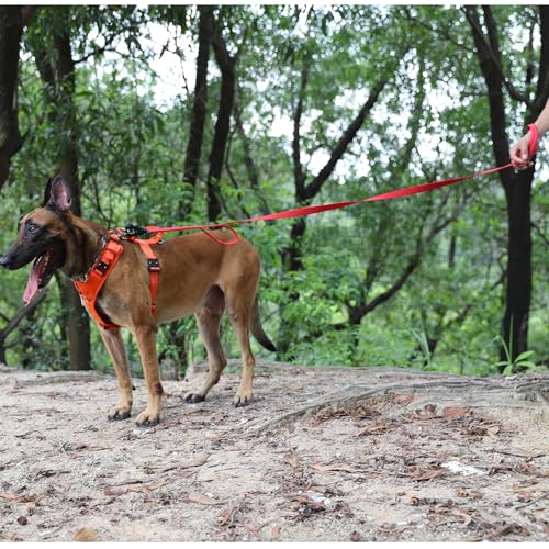 ICEFANG Relfective Dog Leash for Medium Large Dogs,K9 Training Walking Lead with Double Handle,Heavy Duty Auto-Lock Metal Clasp (6ft, Red) - color: Red, size: 6 ft (No bungee)
